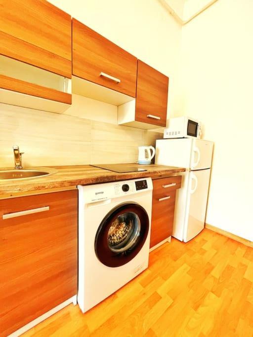 בודפשט Central Spacious Flat מראה חיצוני תמונה