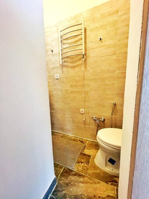 בודפשט Central Spacious Flat מראה חיצוני תמונה