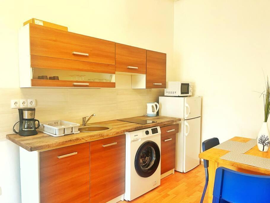 בודפשט Central Spacious Flat מראה חיצוני תמונה