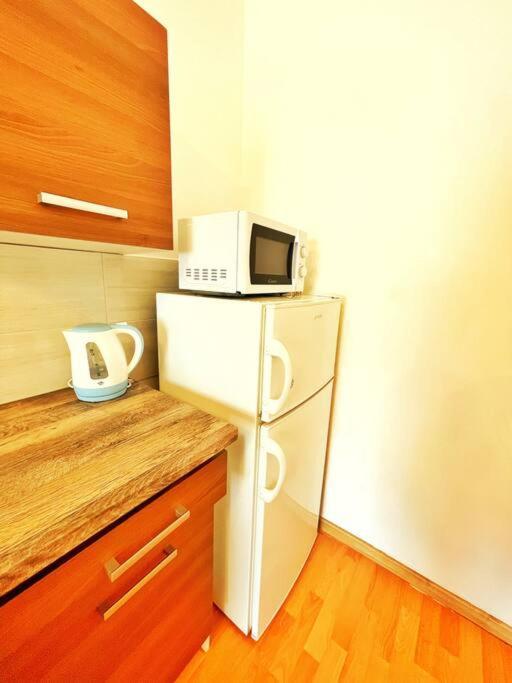 בודפשט Central Spacious Flat מראה חיצוני תמונה